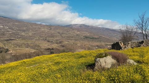 Foto 4 de Terreny en venda a N/a, -1, Casas del Castañar, Cáceres