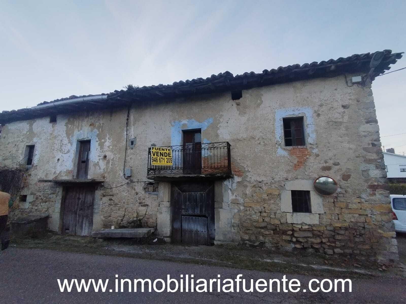 Vista exterior de Casa o xalet en venda en Valle de Mena amb Jardí privat