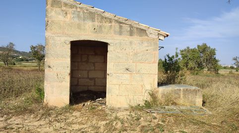 Finca de 4274 m2 con caseta agrícola de 15 m2 y pozo de agua, immagine 2