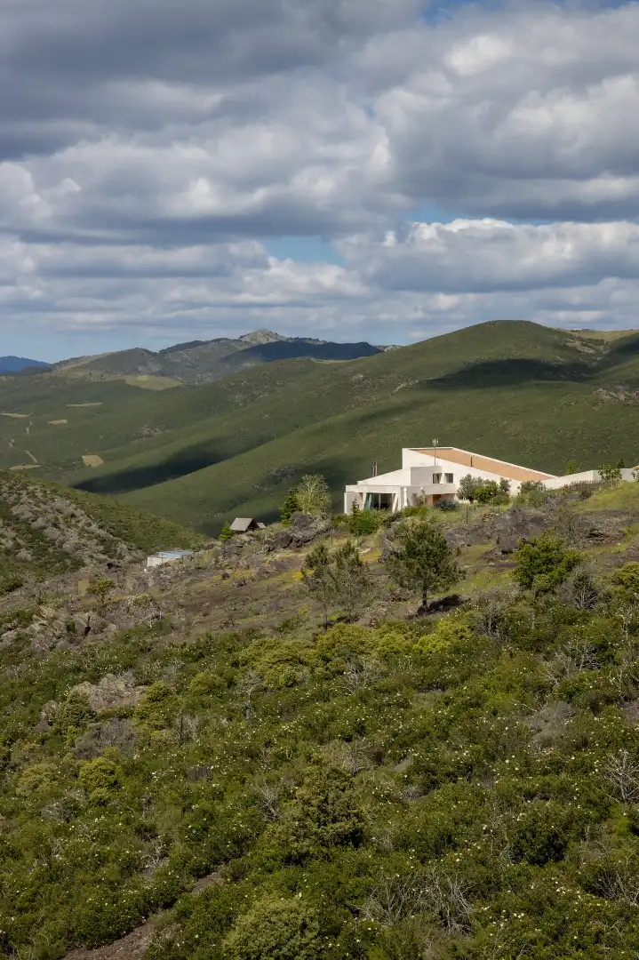 Vista exterior de Casa o chalet en venta en Torremocha de Jarama con Calefacción, Jardín privado y Terraza