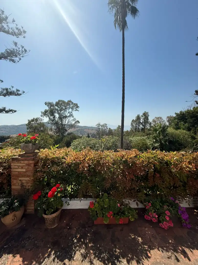 Jardín de Casa o chalet en venta en Algeciras con Jardín privado, Terraza y Piscina