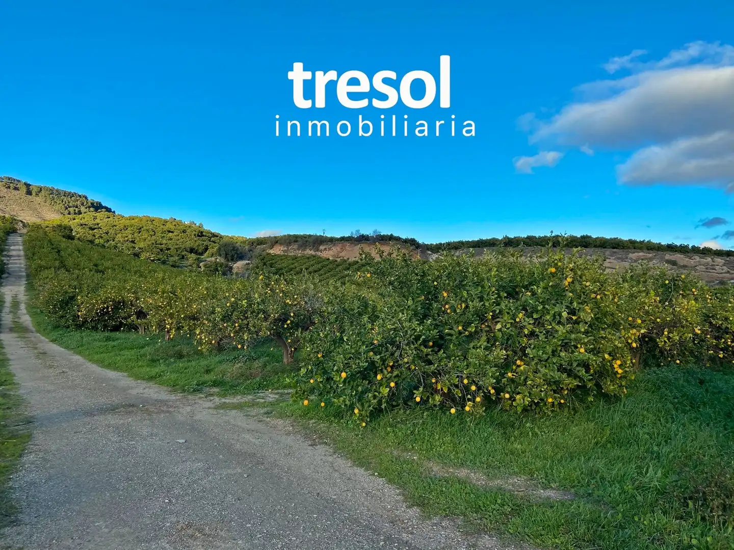 Terreno rustico in vendita a Centro, imagen 8