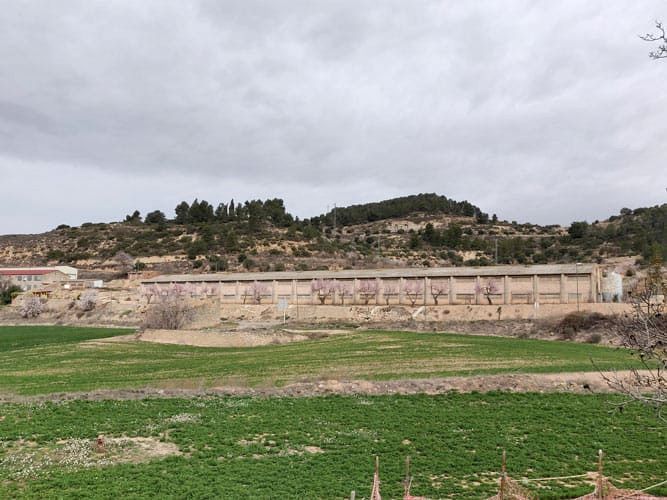 Exterior view of Land for sale in Els Omells de na Gaia