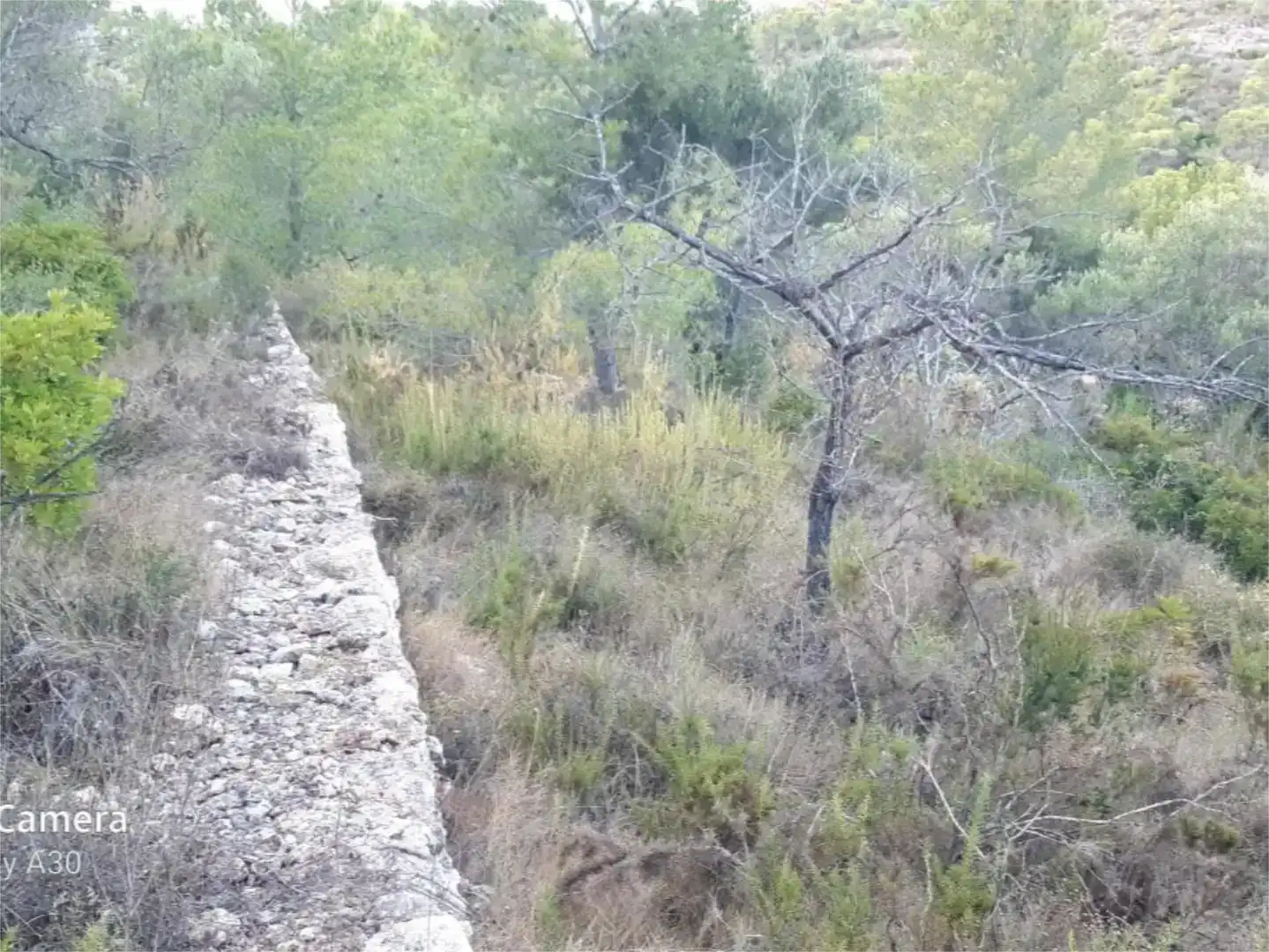Finca rústica en venda en Camarles