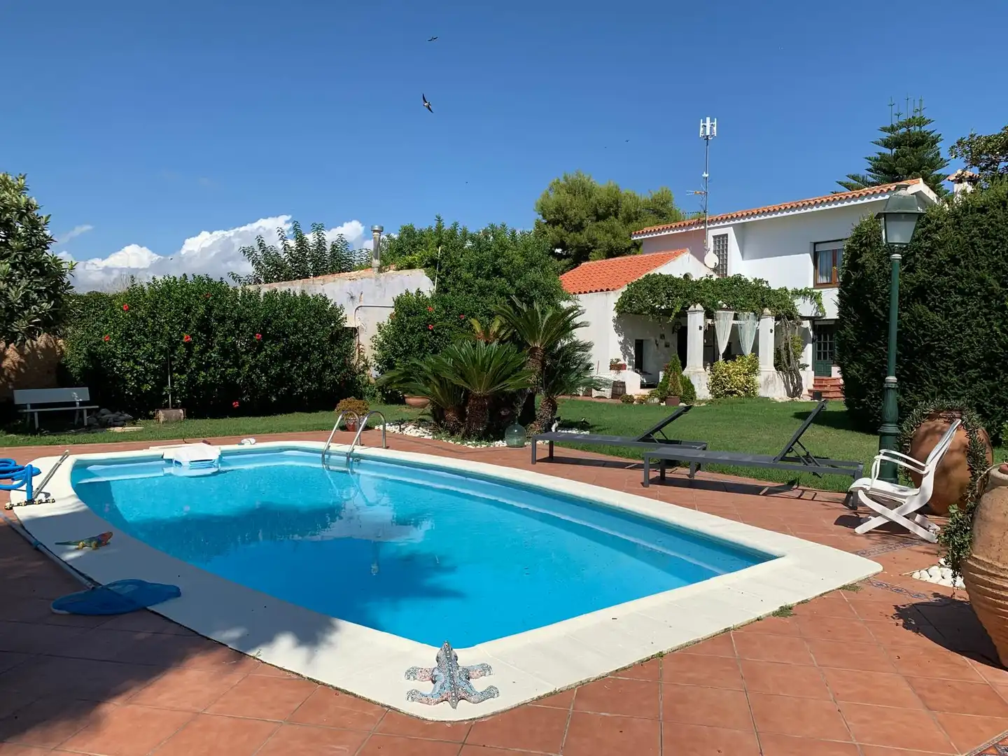 Piscina de Casa o chalet en venta en Vinaròs con Calefacción, Jardín privado y Terraza