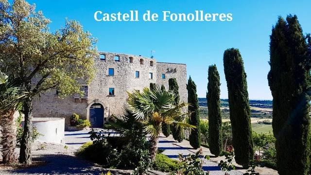 Casa-chalet en Venta en assumpció en Granyanella