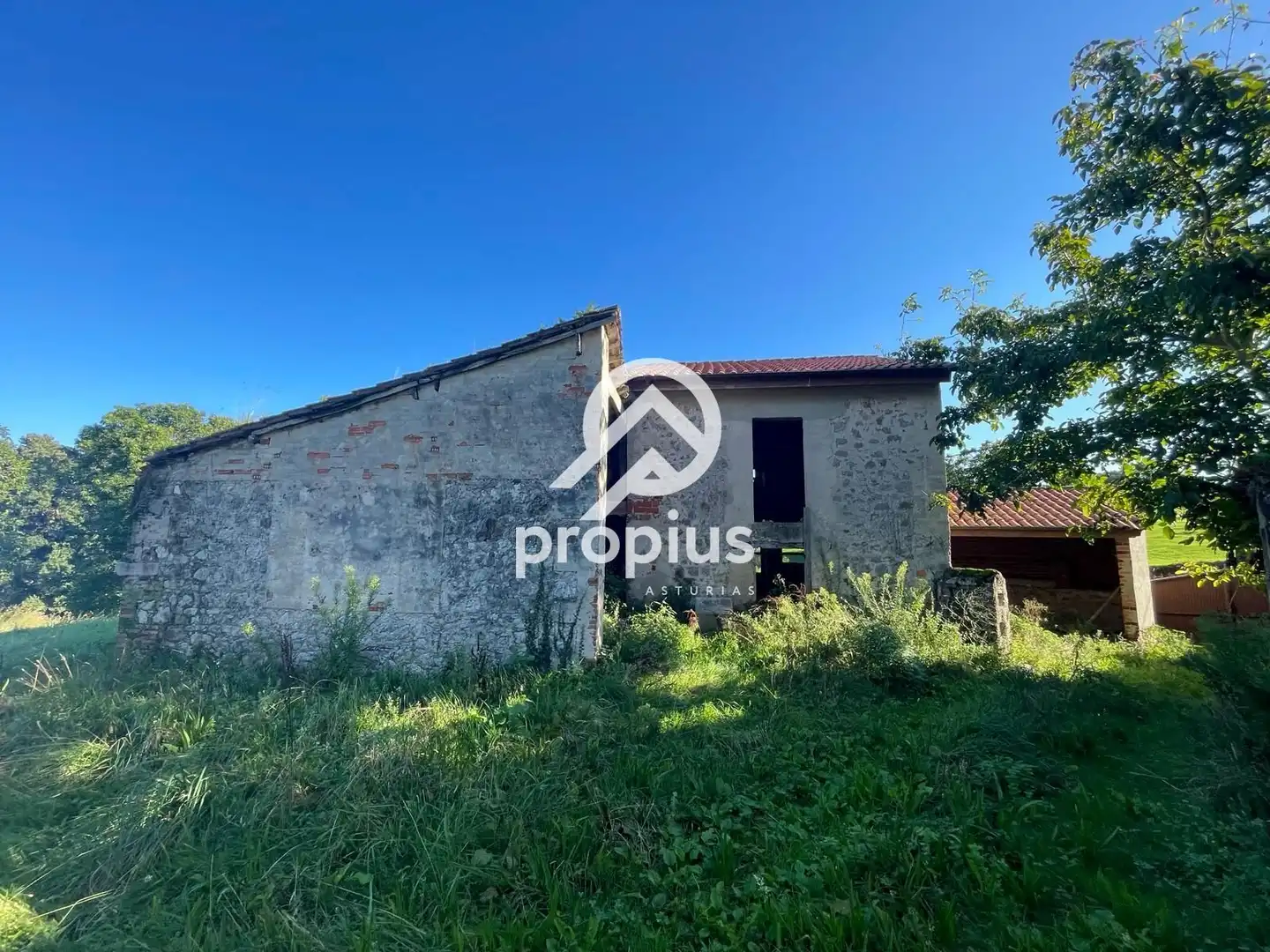 Villa in vendita a Vega,La, imagen 14