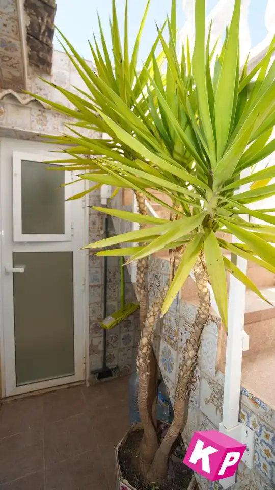 Bungalow zum Verkauf in Avinguda Salamanca, imagen 22