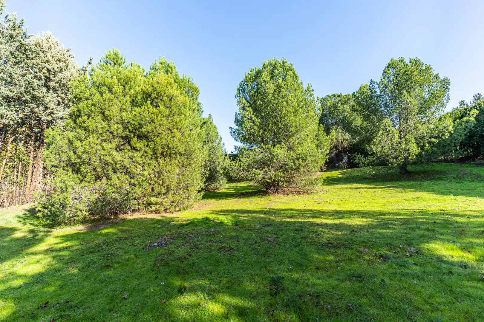 Residencial en venda en Las Rozas de Madrid