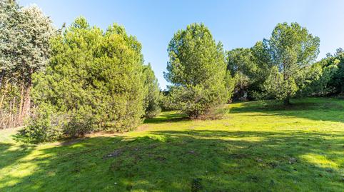 Foto 3 de Residencial en venda a Monte Rozas, Madrid