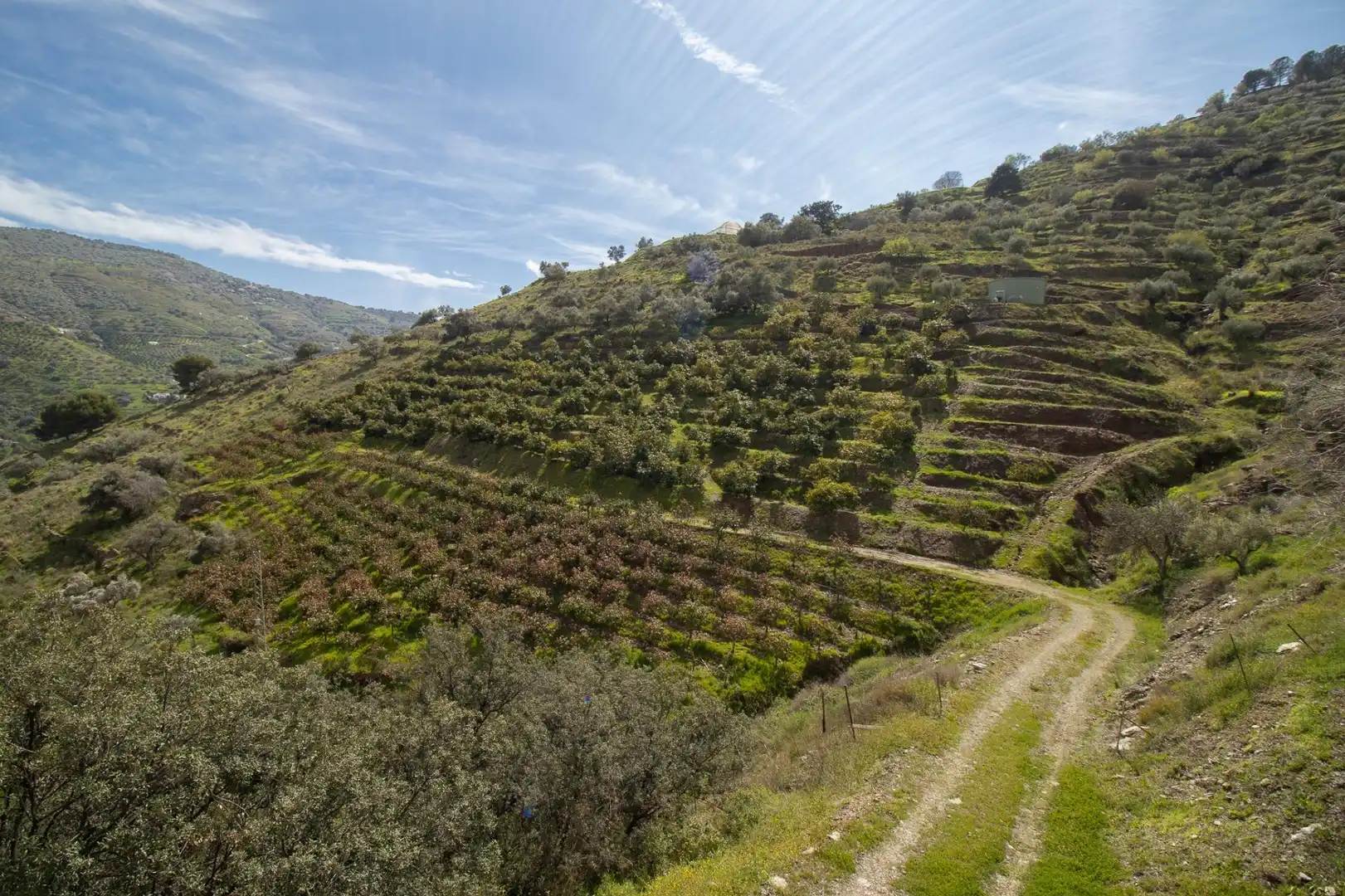 Casa o xalet en venda en Cómpeta
