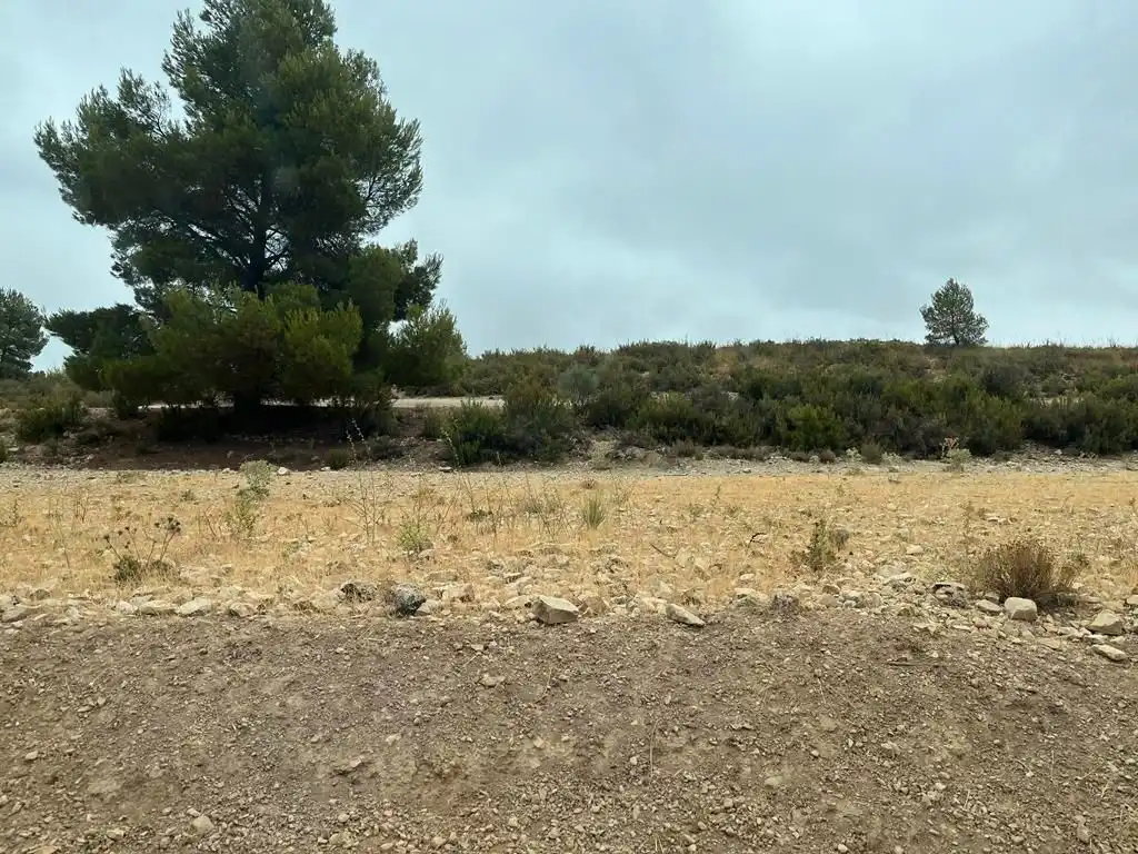 Grundstücke zum Verkauf in Peñas de San Pedro