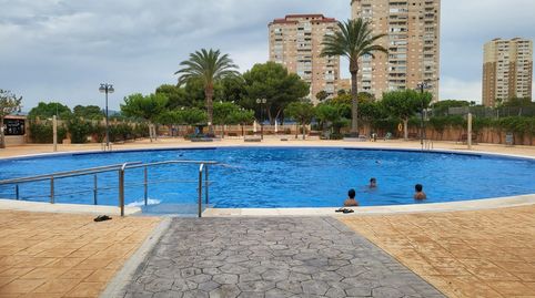 Photo 2 of Lofts for rent in Playa Muchavista, El Campello