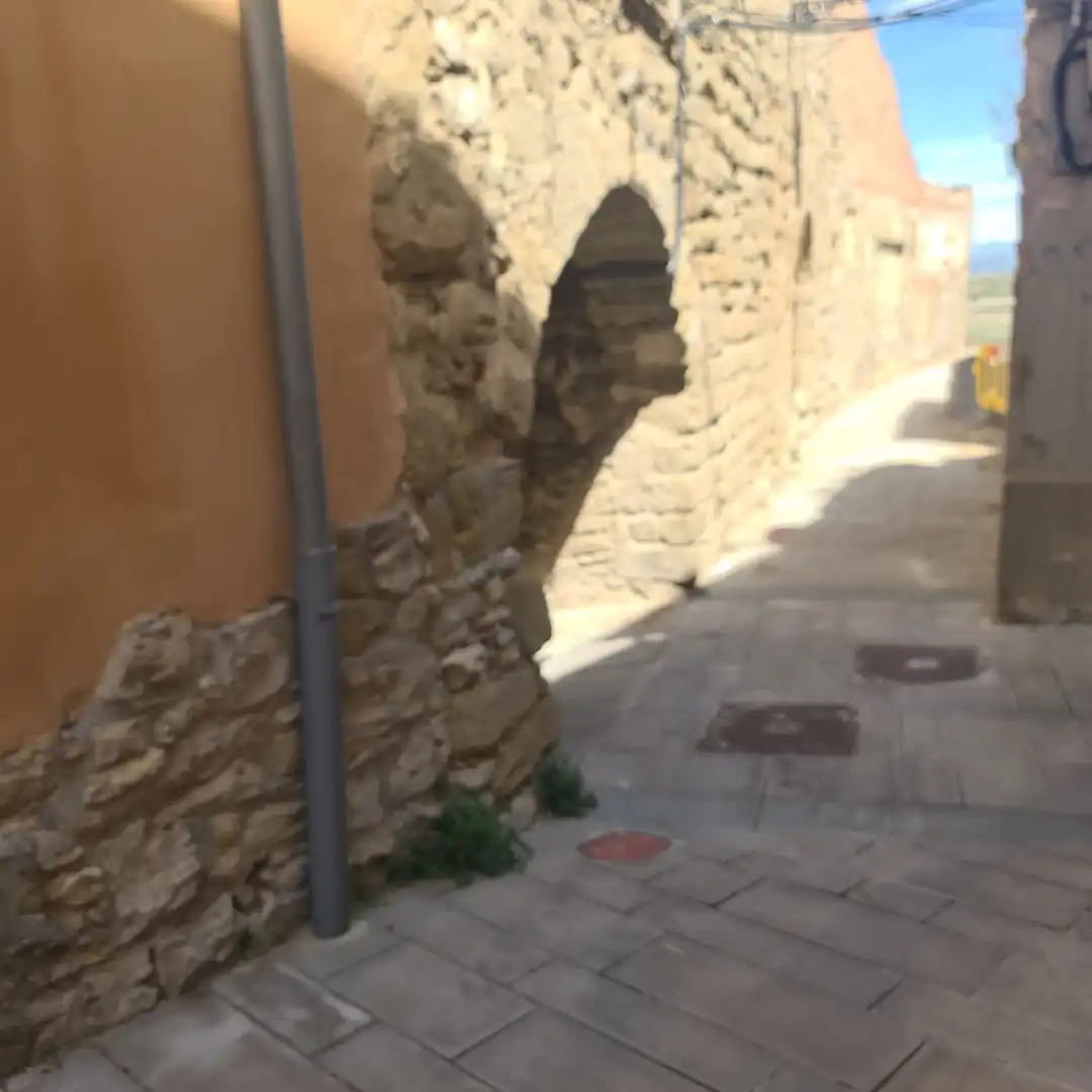Exterior view of Houses for sale in Ivorra