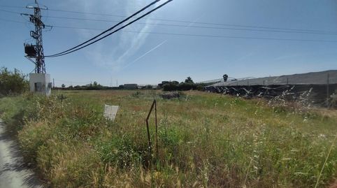 Foto 4 de Residencial en venta en Cabeza de la Vaca, La Jara, Sanlúcar de Barrameda