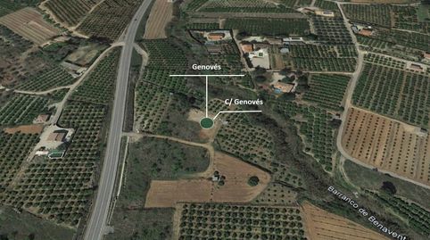 Solvia Inmobiliaria  Suelo Rústico Genovés, imagen 4