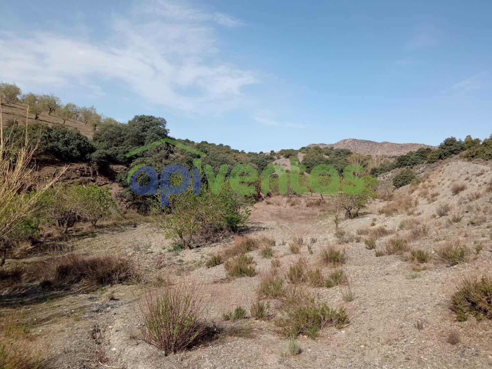 Finca rústica en venda en Vélez-Rubio