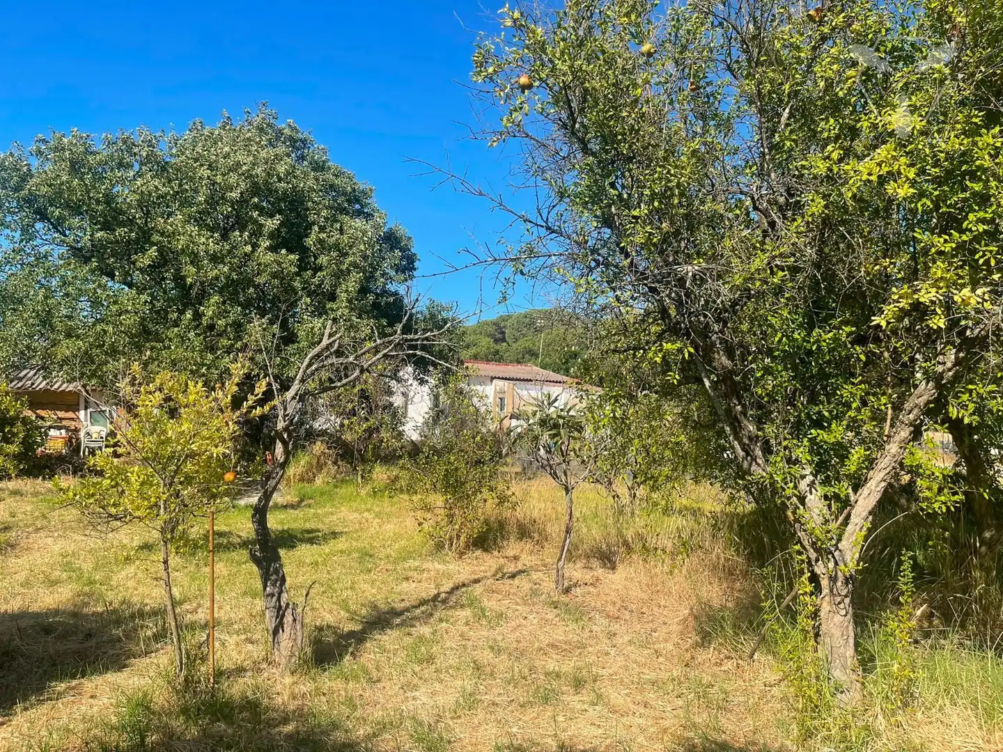 Chalet en venta en Bonares, imagen 21