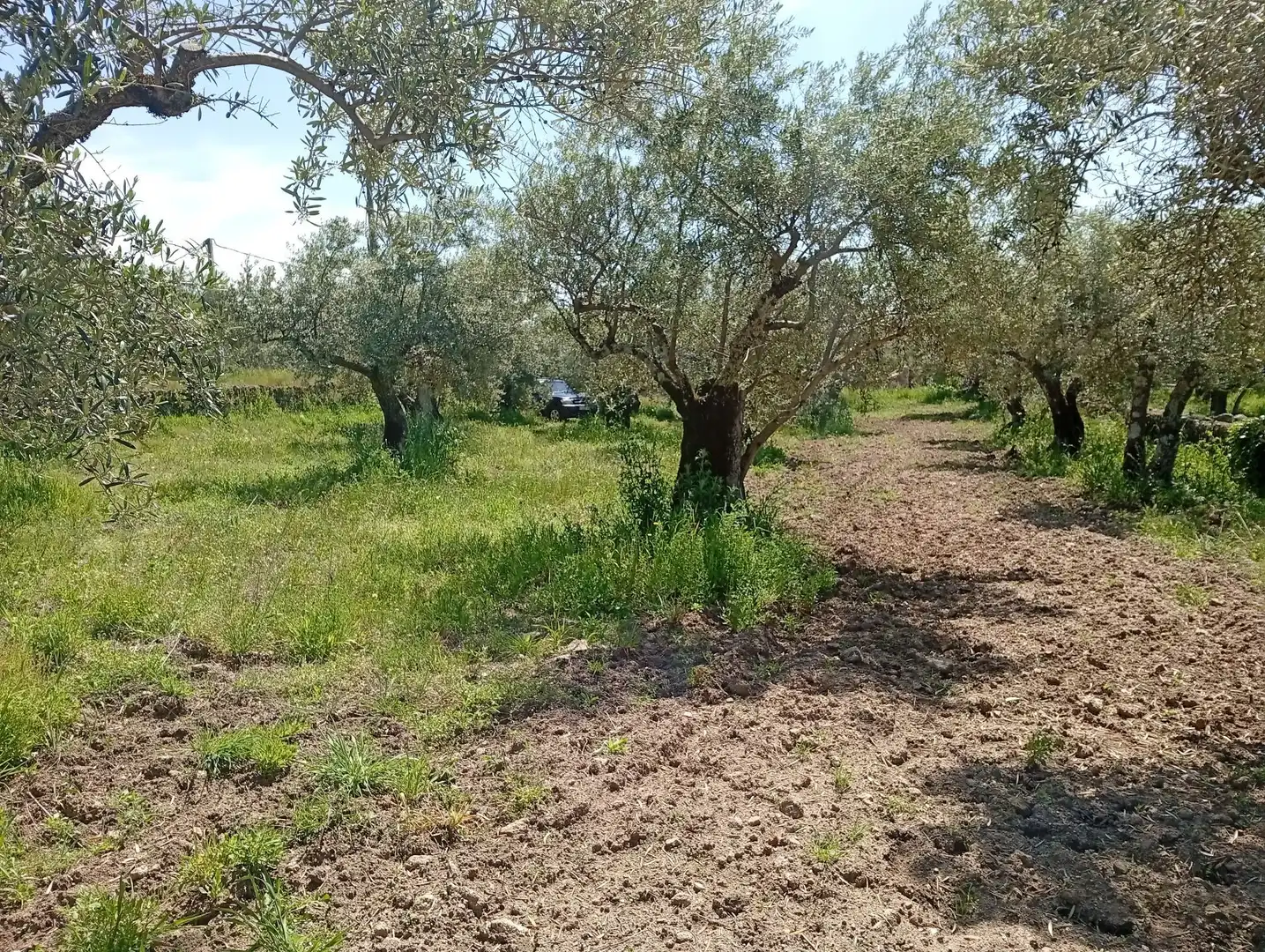 Terreni e lotti in vendita a Villanueva de la Vera, imagen 4