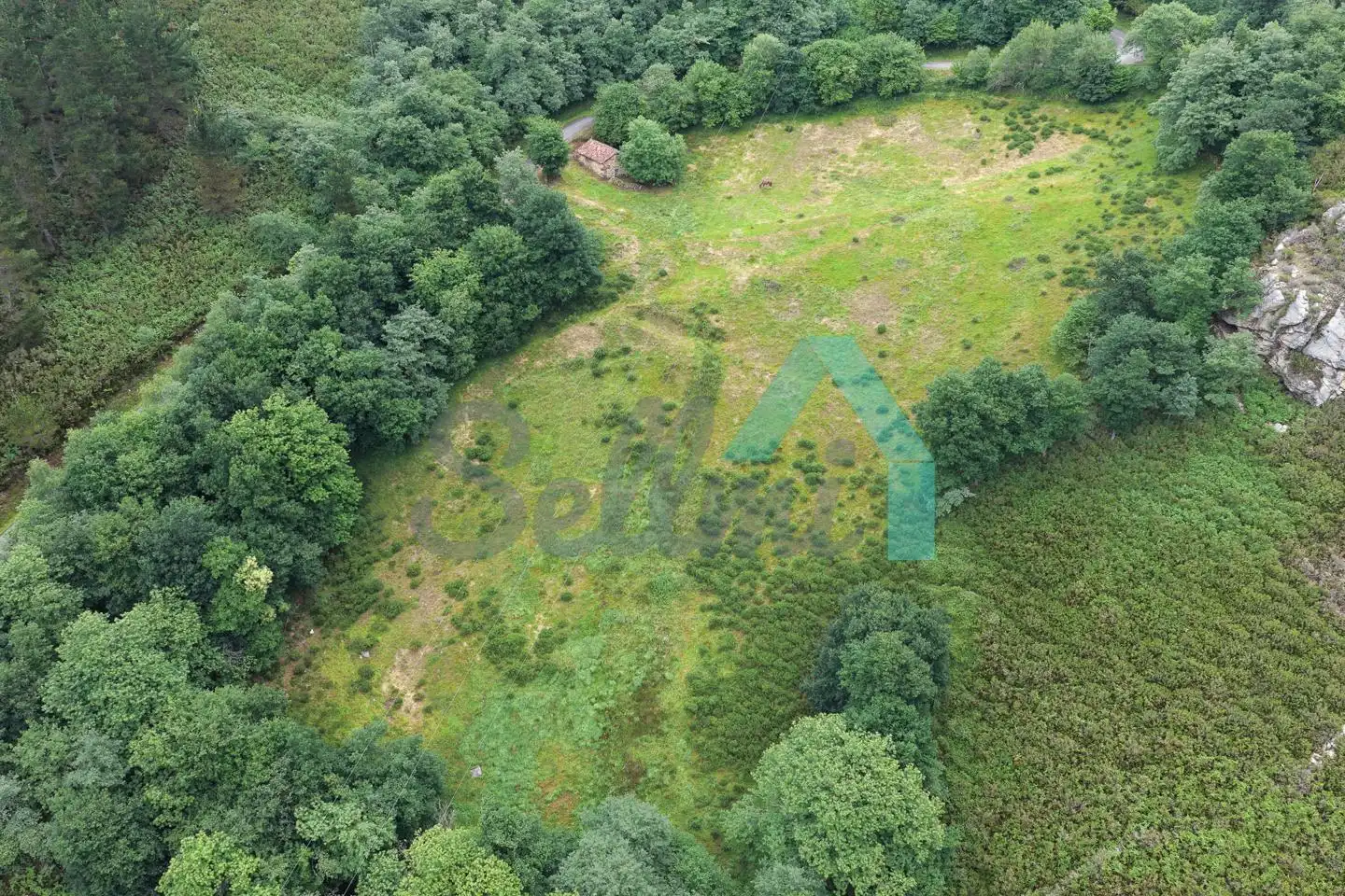 Land for sale in Proaza