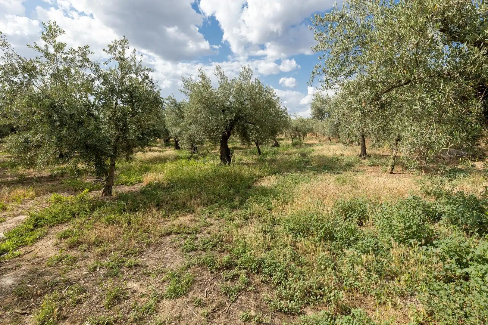 Terreno rustico in vendita a Calle POL 1, PARC 176, imagen 3
