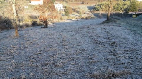 Se vende finca al lado de Celanova superficie 5.500 metros, immagine 2