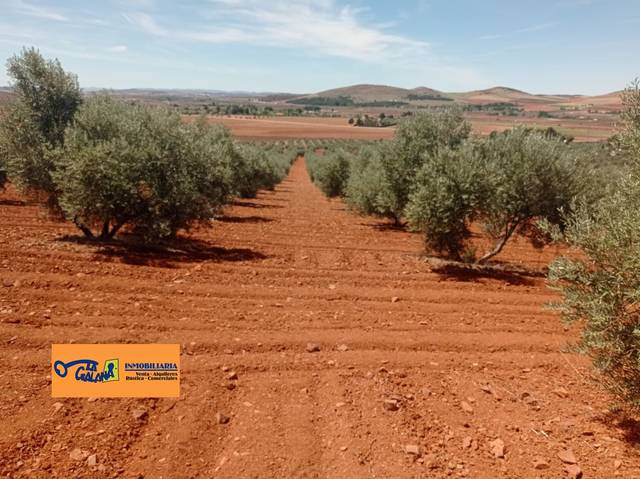 Finca rústica en Venta en Torrenueva