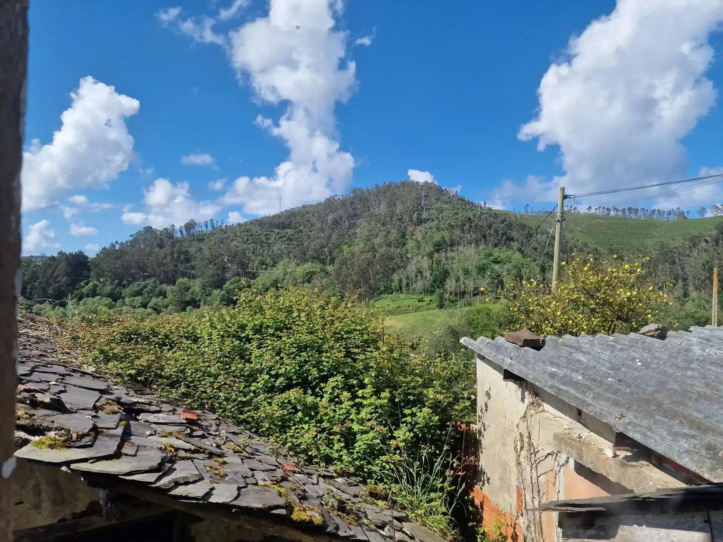 Finca rústica en venta en Tineo con Balcón y Piscina comunitaria