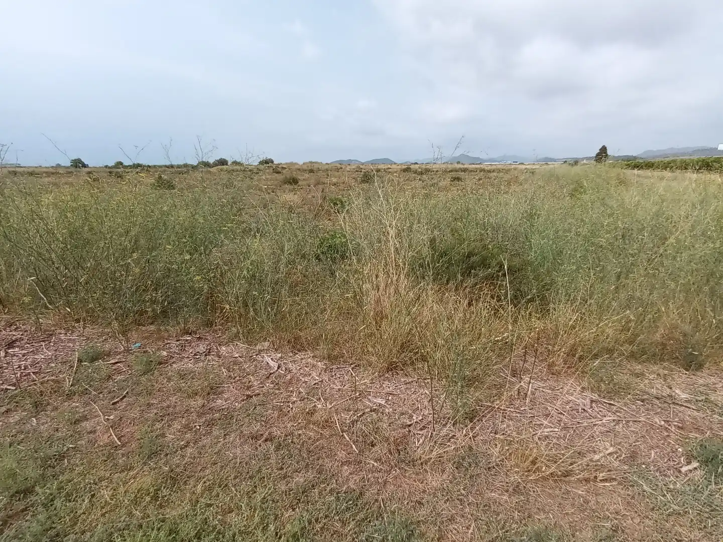 Terreny residencial en venda a Fosaret, imagen 8