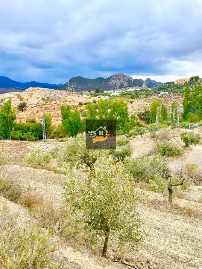 Residential land for sale in Vélez-Rubio, imagen 4