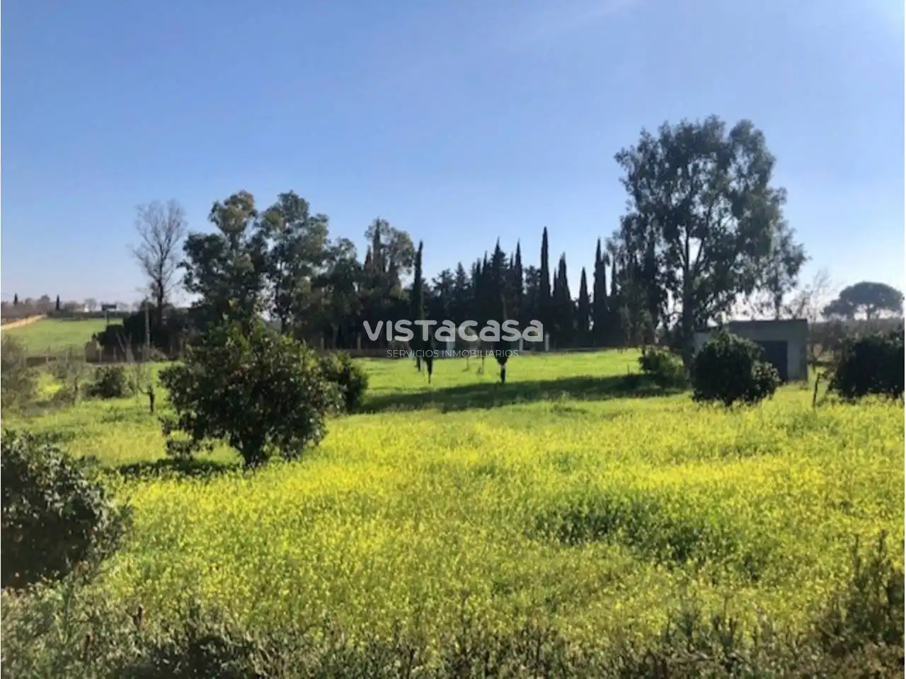 Casa rústica amb piscina en venda a Mairena del Alcor, imagen 14