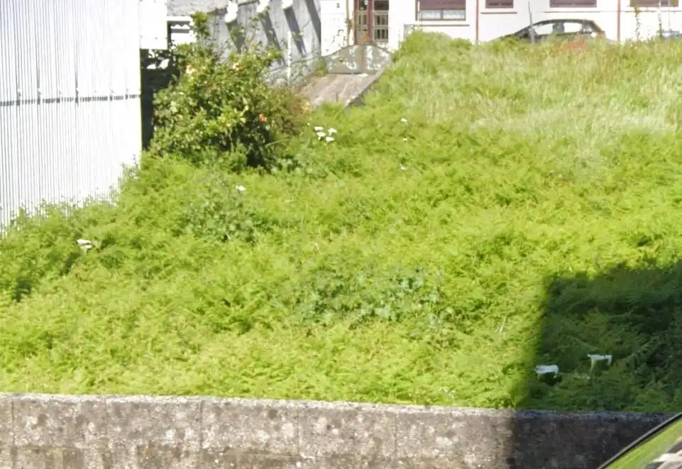 Residential land for sale in de Luis Antonio Mestre, imagen 10