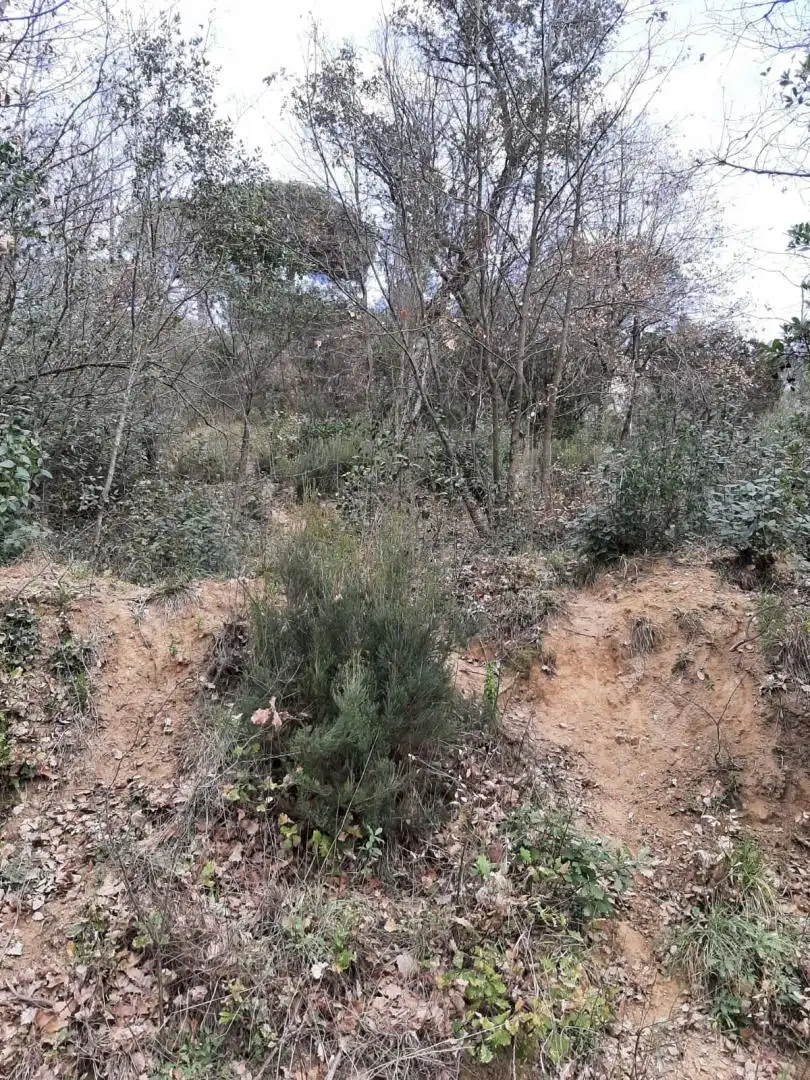 Terreny residencial en venda a Riells i Viabrea, imagen 2