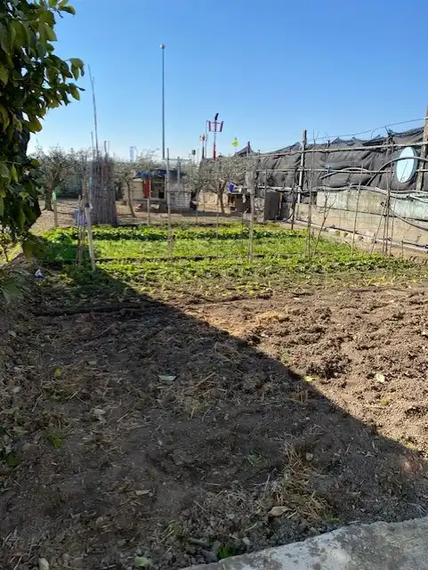 Terreni e lotti in vendita a Calle la Cenia, imagen 7