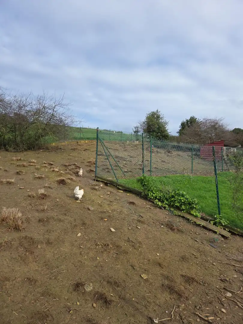 Terreno en venta en Carreño
