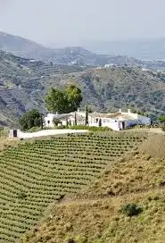 Terreno rustico in vendita a Cártama pueblo