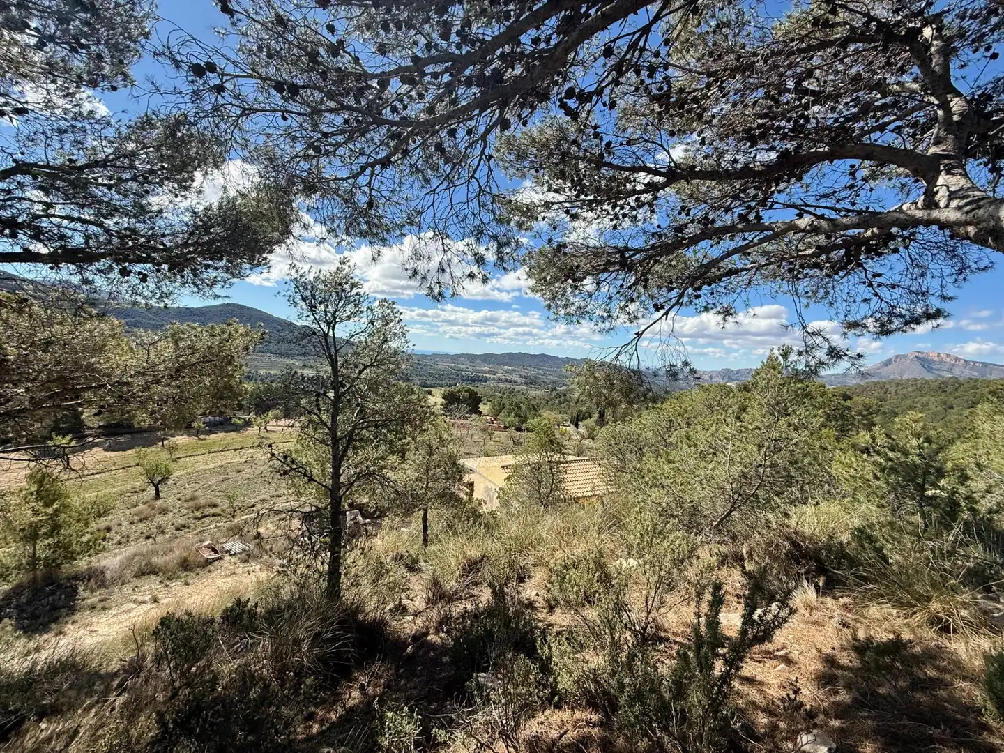 Casa o chalet en venta en Polígono 4 Paraje 139 LENTISCAR, 36, Jijona / Xixona