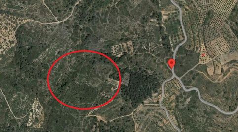 Foto 4 von Grundstücke zum Verkauf in Calle Segorbe, Altura, Castellón