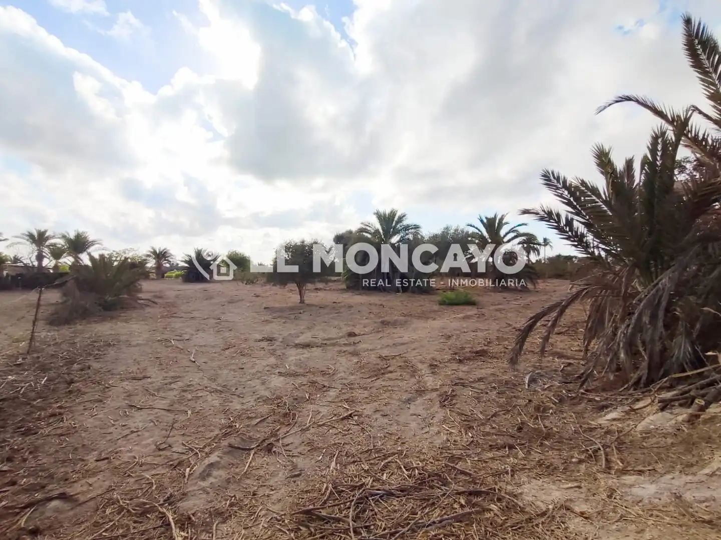Terreno en venta en Elche / Elx
