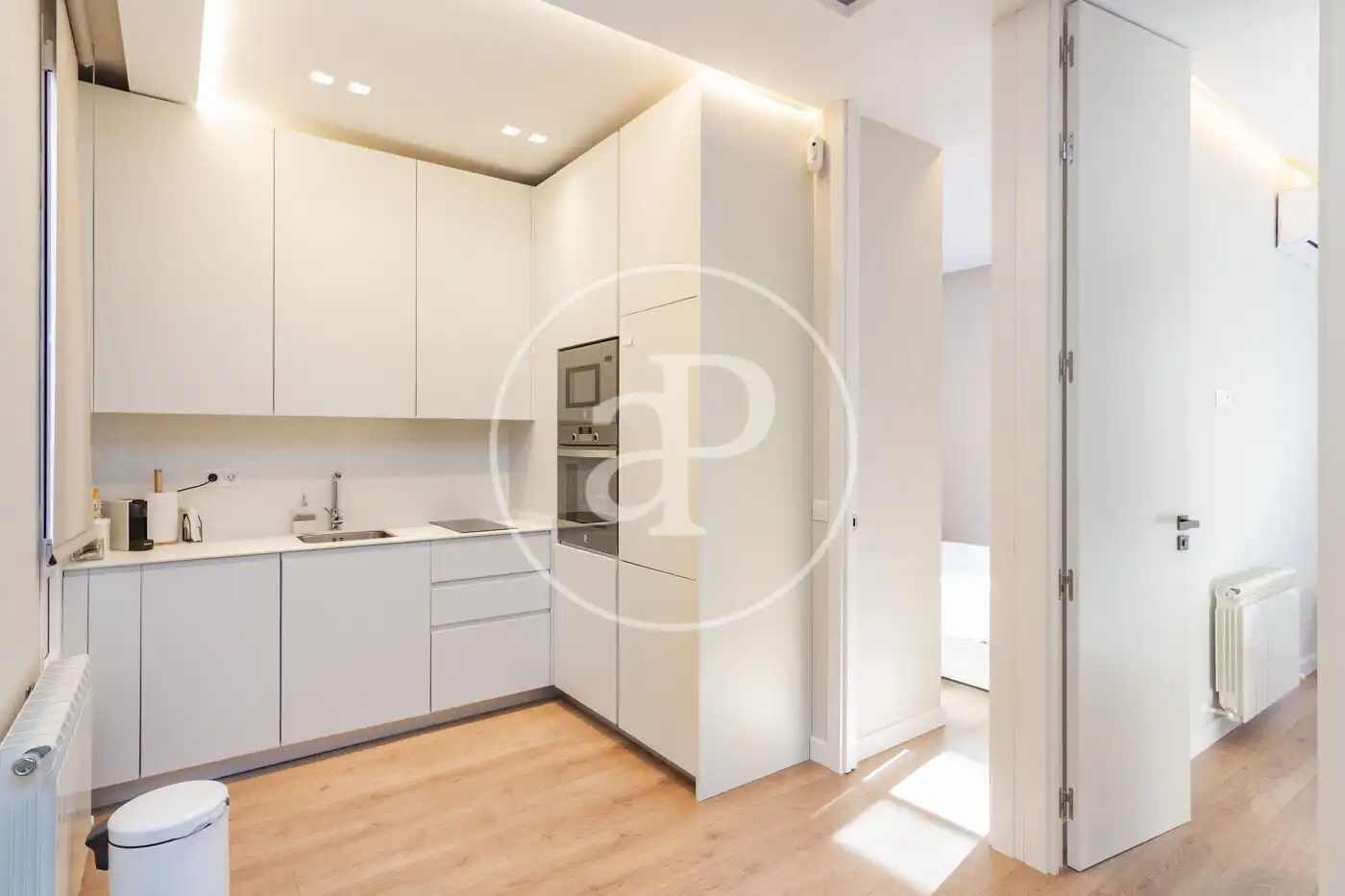 Kitchen of Flat for sale in Barrio de Salamanca