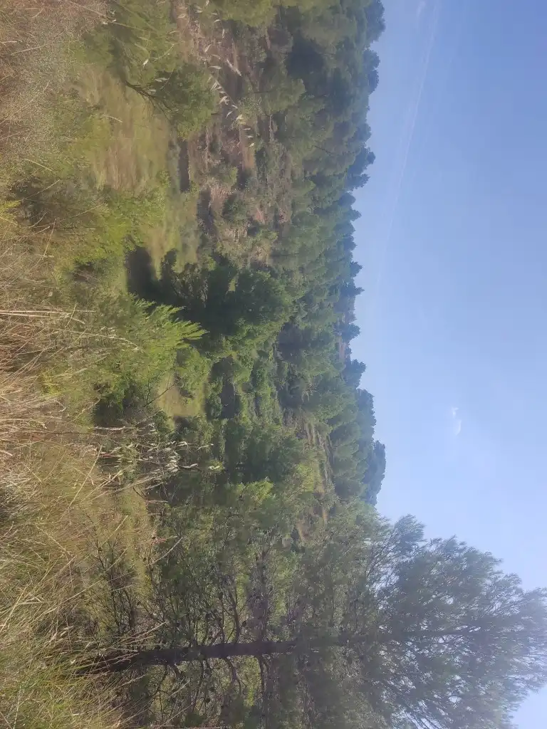 Rural land for sale in Gandesa, imagen 22