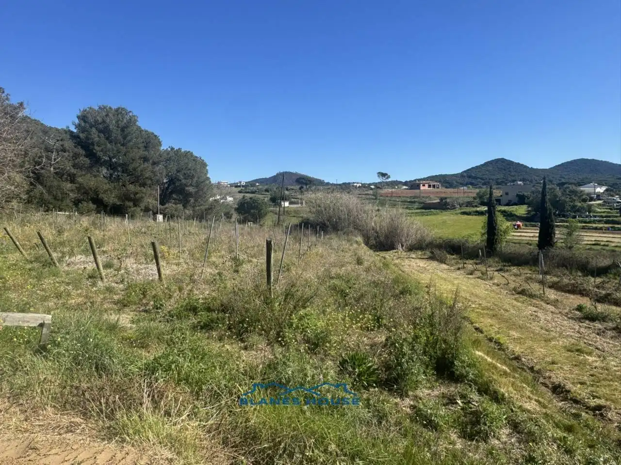 Terreno rustico in vendita a Calle Bosch Rabasa 1, imagen 23