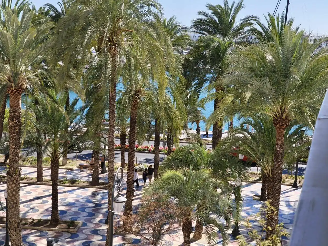 Vista exterior de Pis de lloguer en Alicante / Alacant amb Aire condicionat