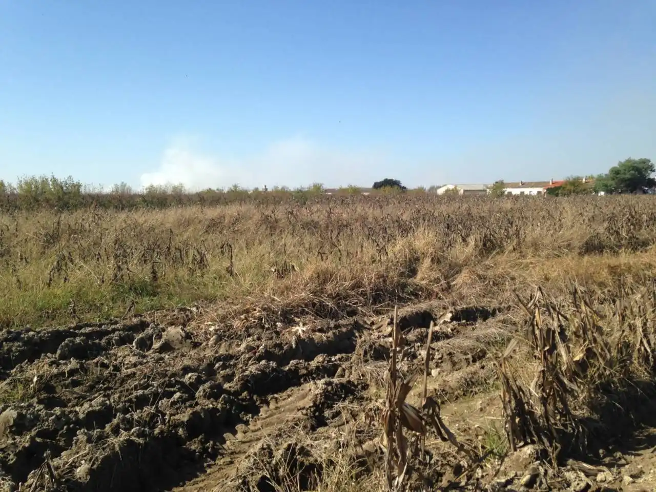 Land for sale in Villar de Rena