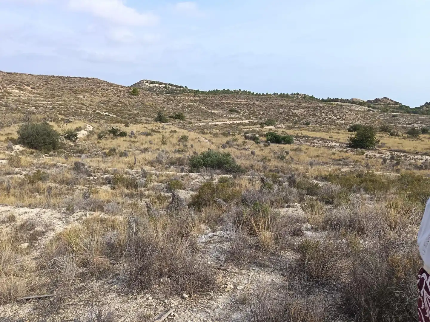 Residencial en venda en Alicante / Alacant