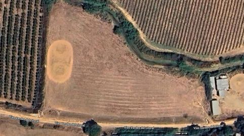 Foto 2 de Finca rústica en venta en N/a, Lepe, Huelva