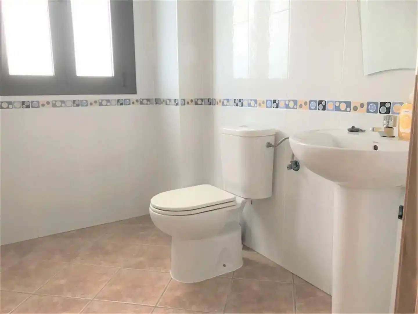Badezimmer von Geschaftsraum zur Miete in Sayalonga