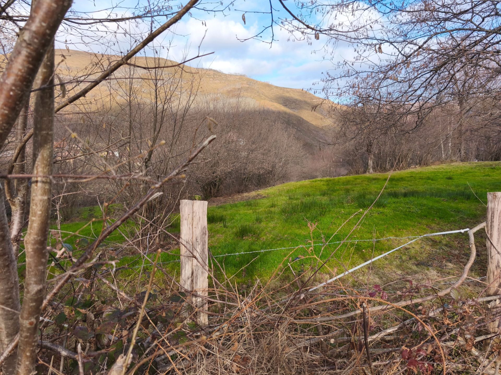 Land for sale in Rionansa