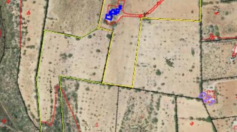 Foto 2 de Casa o xalet en venda a N/a, Cales de Mallorca, Manacor