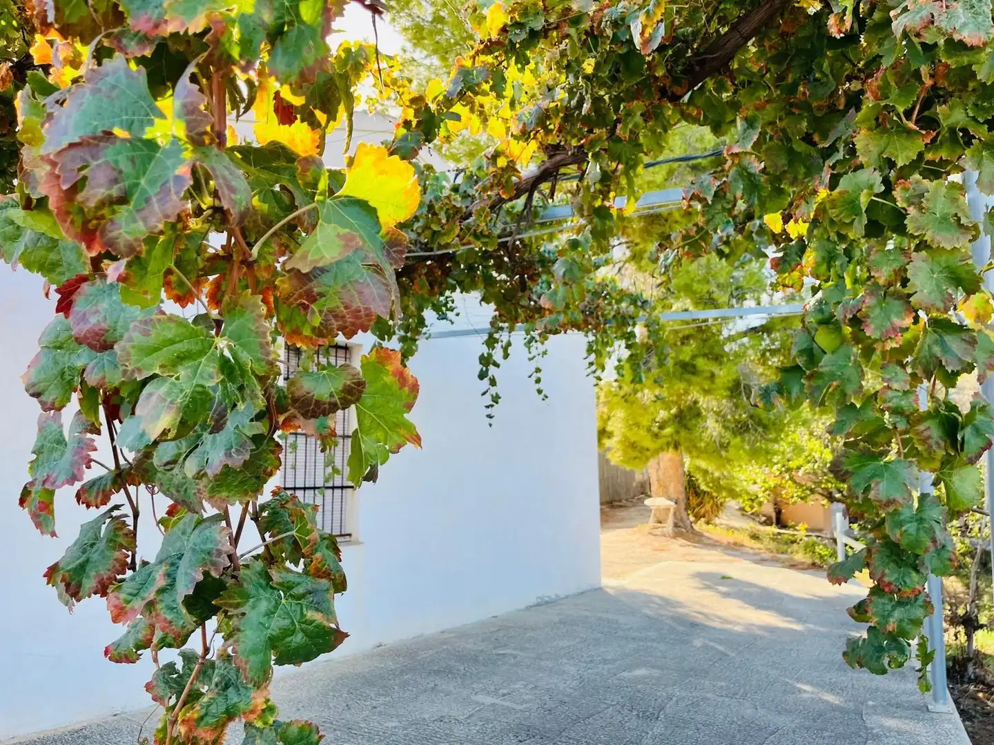 Jardín de Casa o chalet en venta en Cieza con Calefacción, Jardín privado y Trastero